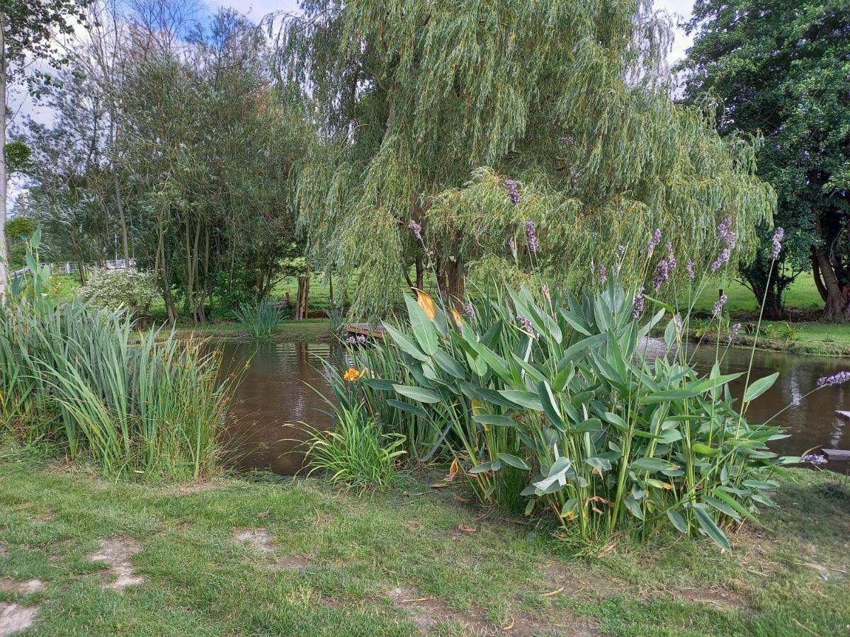 La Gasteboisiere With Swimming Pool And Games Room Le Mesnil-Adelee Екстериор снимка